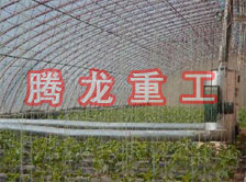大棚花卉供暖設(shè)備、大棚卉采暖設(shè)備、大棚花卉取暖設(shè)備