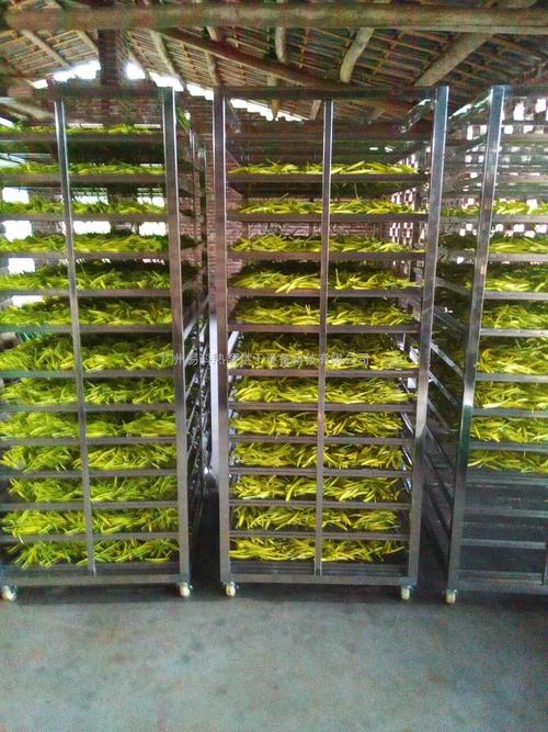 黃花菜烘干機(jī)、黃花菜烘干設(shè)備、黃花菜干燥機(jī)、黃花菜干燥設(shè)備、